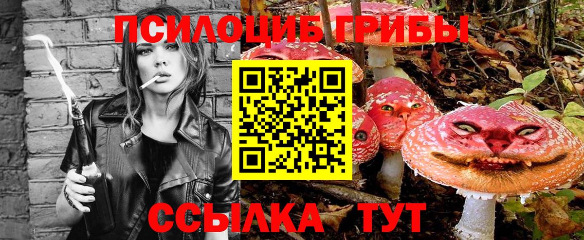 купить  цена  Псилоцибиновые грибы Psilocybine cubensis  Жигулёвск  Вход с VPN  Галлюциногенные грибы мухоморы 