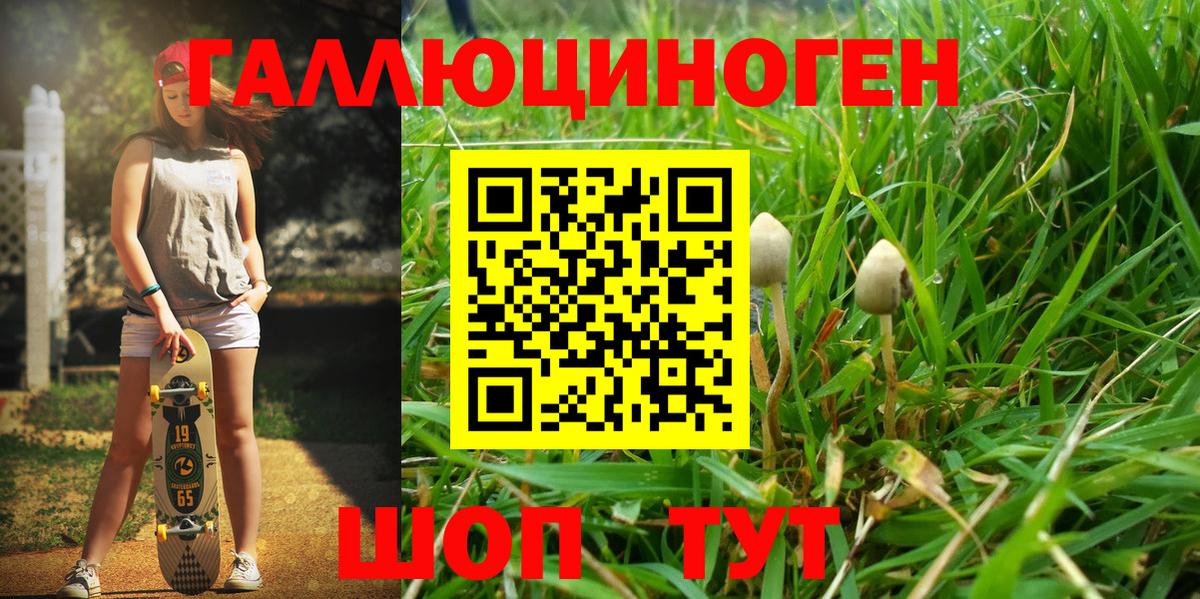 Псилоцибиновые грибы Psilocybine cubensis Жигулёвск